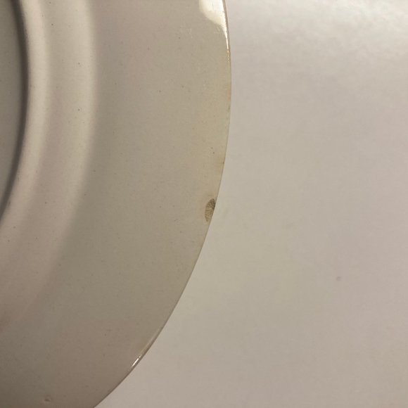 Vintage Dinner Plates (2) 9 Inches with Pink & Blue Flowers / Roses - Picture 11 of 16